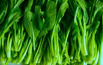 開春后混施化肥應注意哪些-春天應該給油菜施什么肥料？
